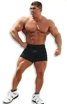 Besplatna dostava Novi 2018 Muška joga crna bodybuilding kratke hlače bodybuilding hlače pamuk tajice po mjeri